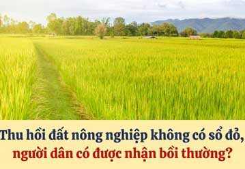 Thu hồi đất nông nghiệp không có sổ đỏ, người dân có được nhận bồi thường không?